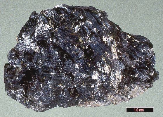 Large Falkmanite Image