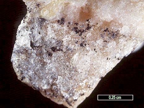 Large Polylithionite Image