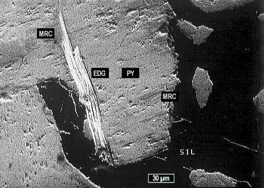 Large Edgarite Image