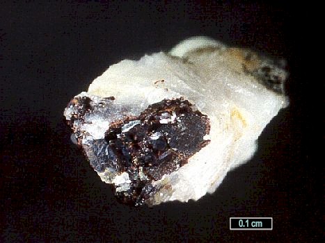 Large Gamagarite Image