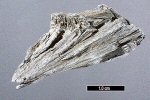 Click Here for Larger Hastingsite Image