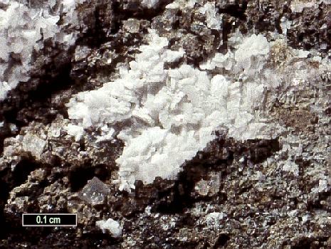 Large Hornesite Image