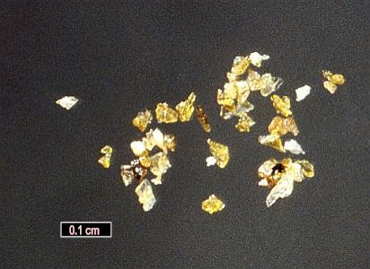Large Innelite Image