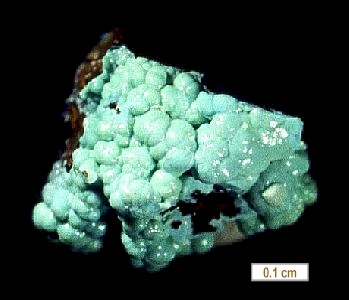 Large Kolovratite Image