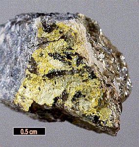 Large Dewindtite Image