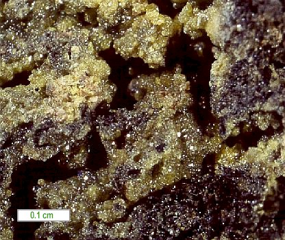 Large Kratochvilite Image