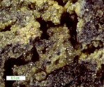 Click Here for Larger Kratochvilite Image