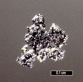 Large Moschellandsbergite Image