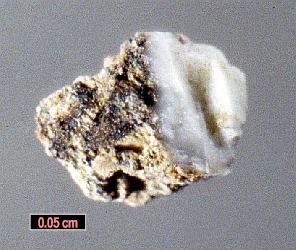 Large Nafertisite Image