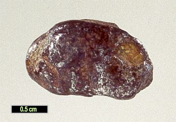 Large Oregonite Image