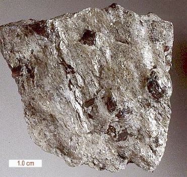 Large Paragonite Image