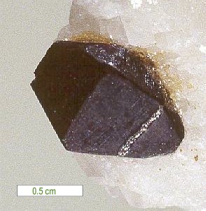 Large Potassicpargasite Image