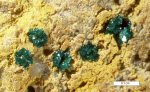 Click Here for Larger Paratacamite Image