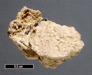 Large Phosphammite Image