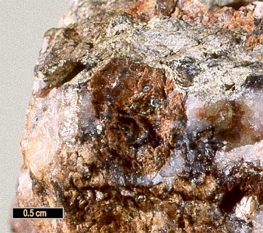 Large Columbite-(Fe) Image