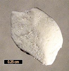 Large Satimolite Image