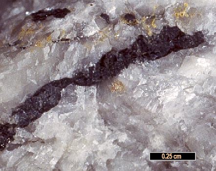 Large Chondrodite Image