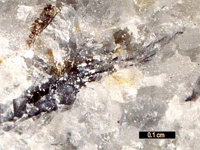 Large Sterryite Image