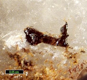 Large Sulphotsumoite Image