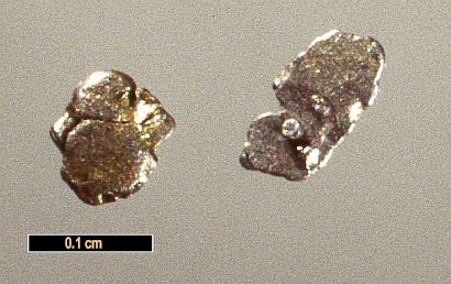 Large Stibiopalladinite Image