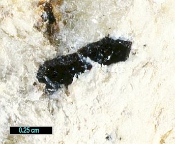Large Titantaramellite Image