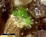 Click Here for Larger Ulrichite Image