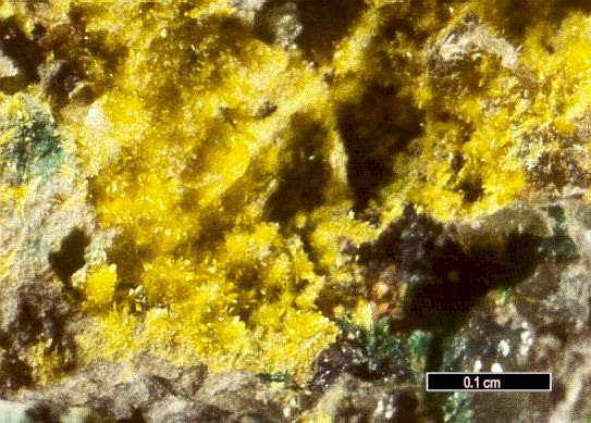 Large Phurcalite Image