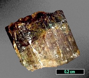 Large Foitite Image