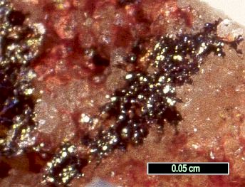Large Wattersite Image