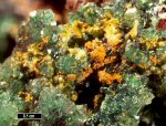 Click Here for Larger Wustite Image