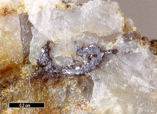 Large Eskimoite Image