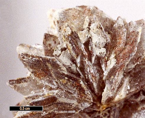 Large Glauberite Image