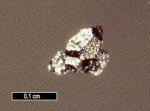 Click Here for Larger Ferchromide Image