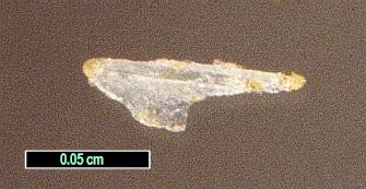 Large Koritnigite Image