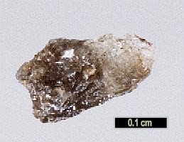 Large Dittmarite Image