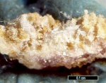 Click Here for Larger Larsenite Image