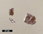 Click Here for Larger Rhenium Image