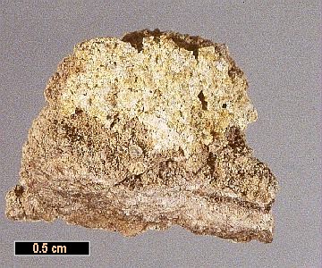 Large Archerite Image