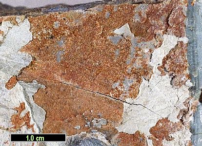 Large Coalingite Image