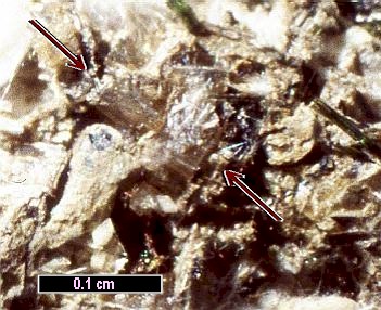 Large Sitinakite Image