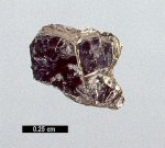 Click Here for Larger Tellurobismuthite Image