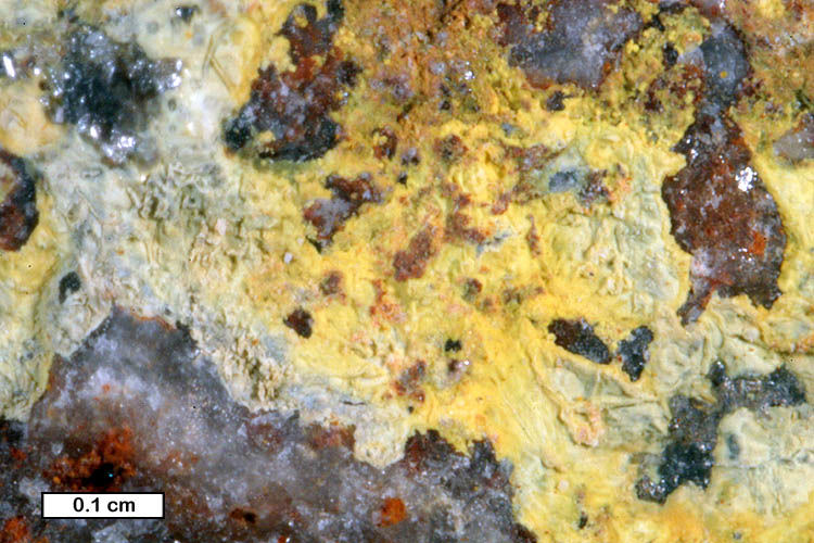 Large Terlinguacreekite Image