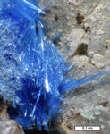 Click Here for Larger Cyanotrichite Image