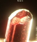 Click Here for Larger Painite Image