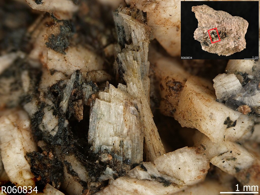 Large Paravinogradovite Image