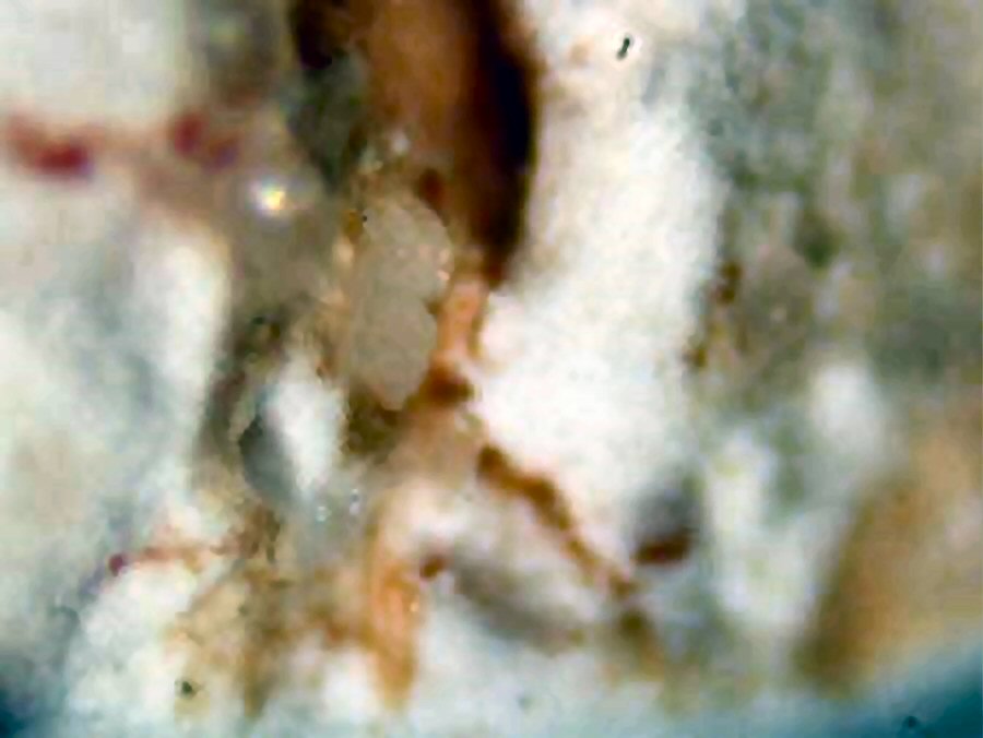 Large Parwanite Image