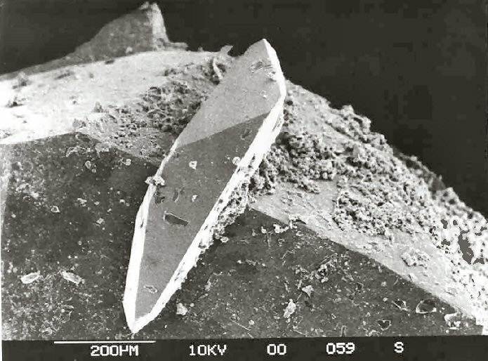 Large Paulkellerite Image