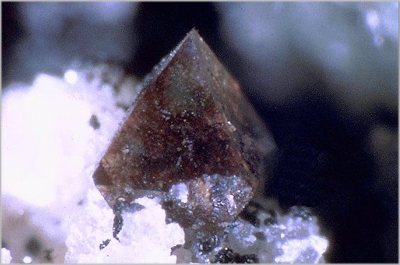 Large Phosphoferrite Image