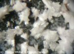 Click Here for Larger Polyhalite Image