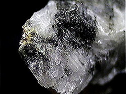 Large Priderite Image